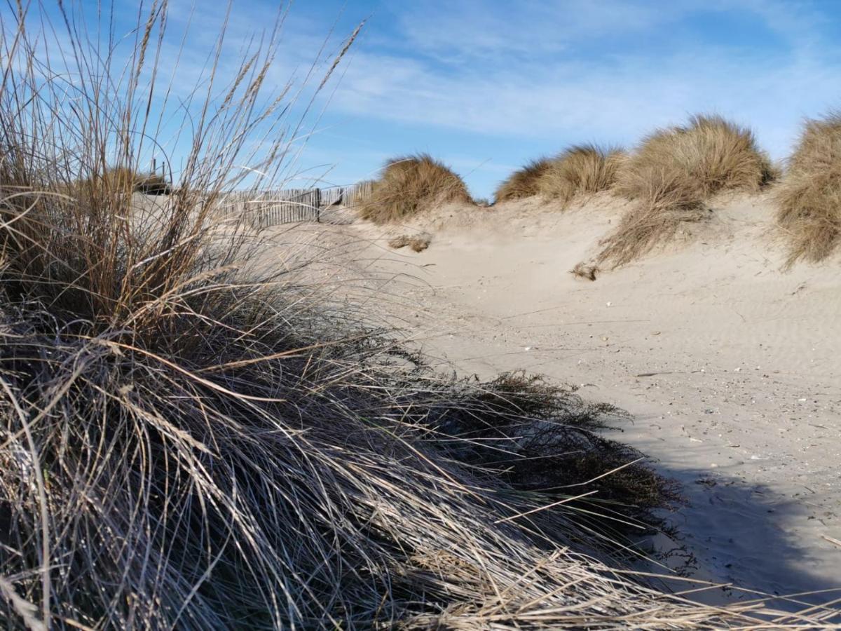 Sete Vue Exceptionnelle Lägenhet Exteriör bild